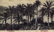 Pierre Renoir, View of Bordighera:the Palms Postcard